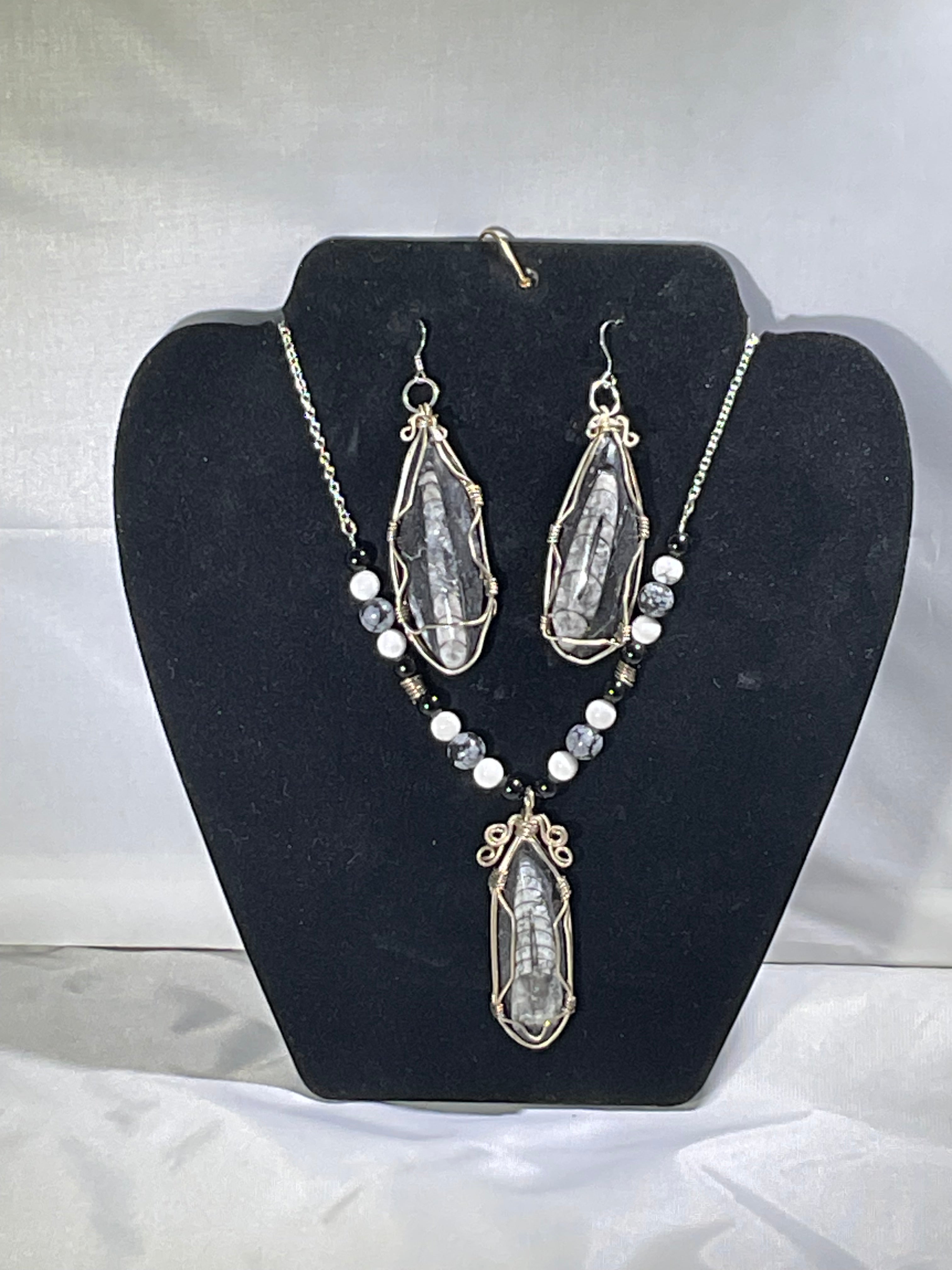 Orthoceras set